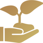 Plantation